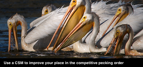 Competitive solutions matrix